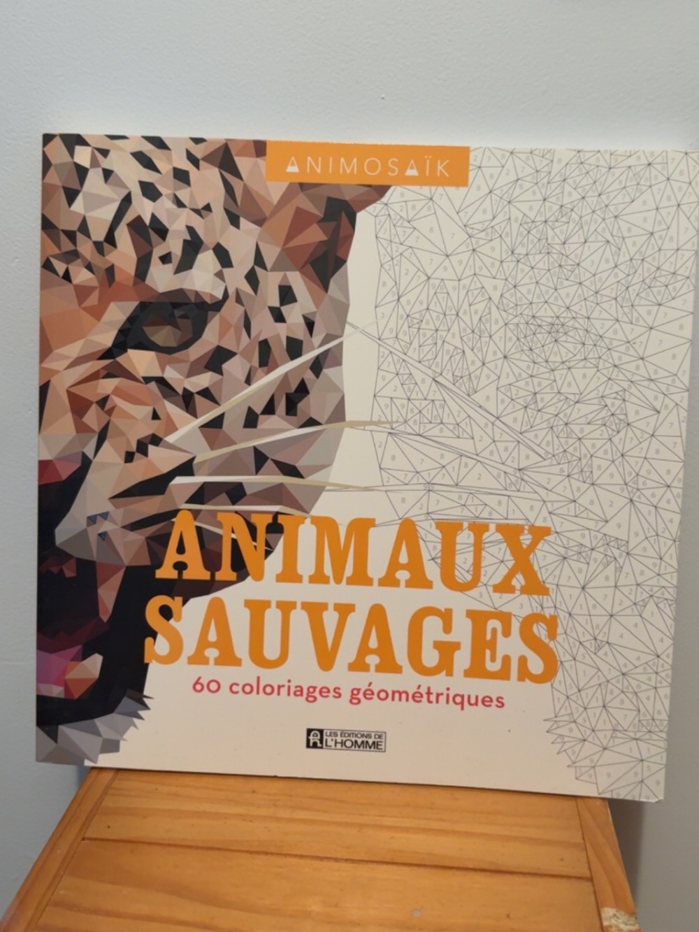Livre à colorier animaux sauvage